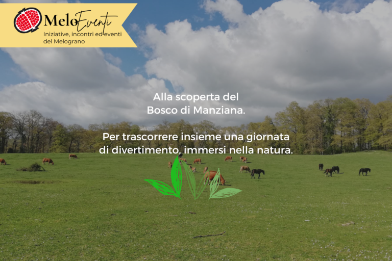 bosco di manziana bosco di manziana